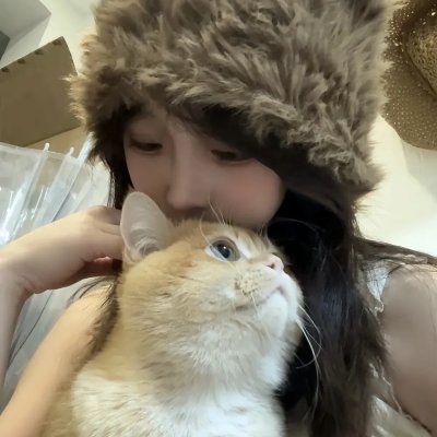 败犬求婚日